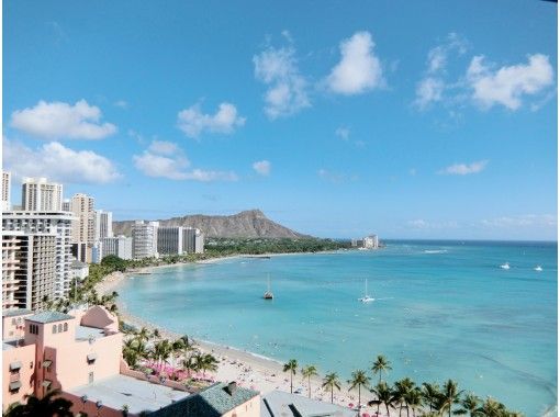 シルバーウィーク家族企画 おうち海外旅行 Hawaiiオアフ島おさかな どうぶつ観察ツアー アクティビティジャパン