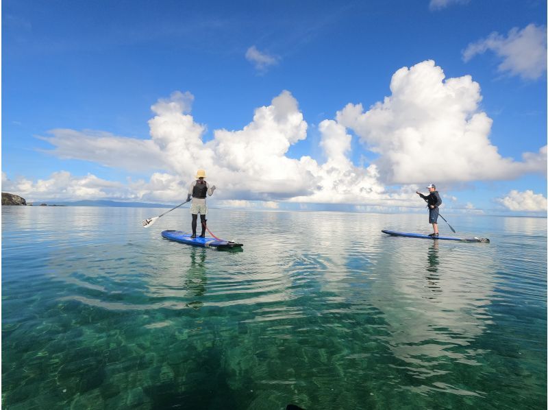 [Ishigaki Island] SUP cruise experience 1 group per day completely chartered tour! Private reservation & photo gift & herbal tea included★Beginners welcomeの紹介画像