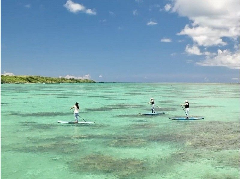 [Ishigaki Island] SUP cruise experience 1 group per day completely chartered tour! Private reservation & photo gift & herbal tea included★Beginners welcomeの紹介画像