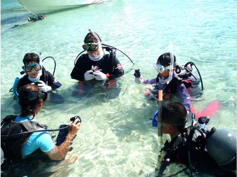 [Okinawa / Ishigaki island] Enjoy the underwater Experience 2 dive course ♪ (with lunch)の紹介画像
