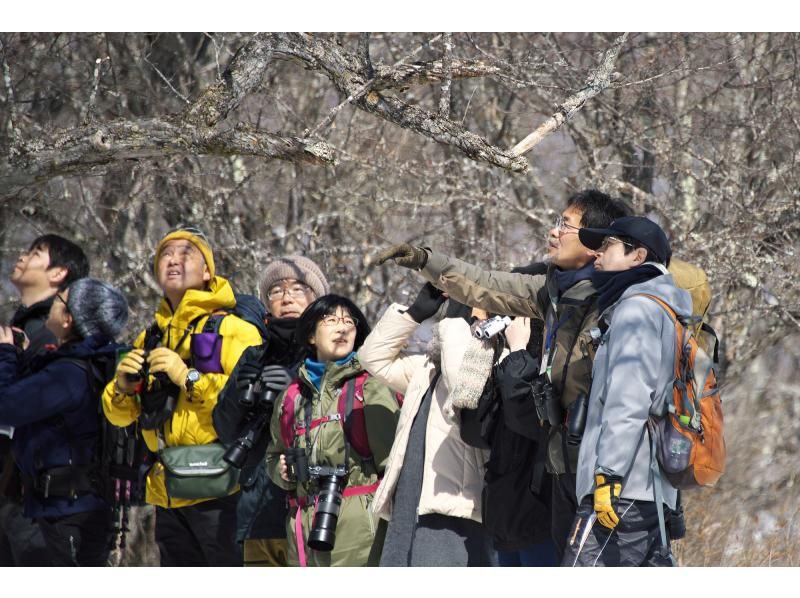 【栃木・奥日光】野鳥の楽園・奥日光でバードウォッチング教室♪【初心者歓迎！季節ごとのいいトコロへご案内！】の紹介画像