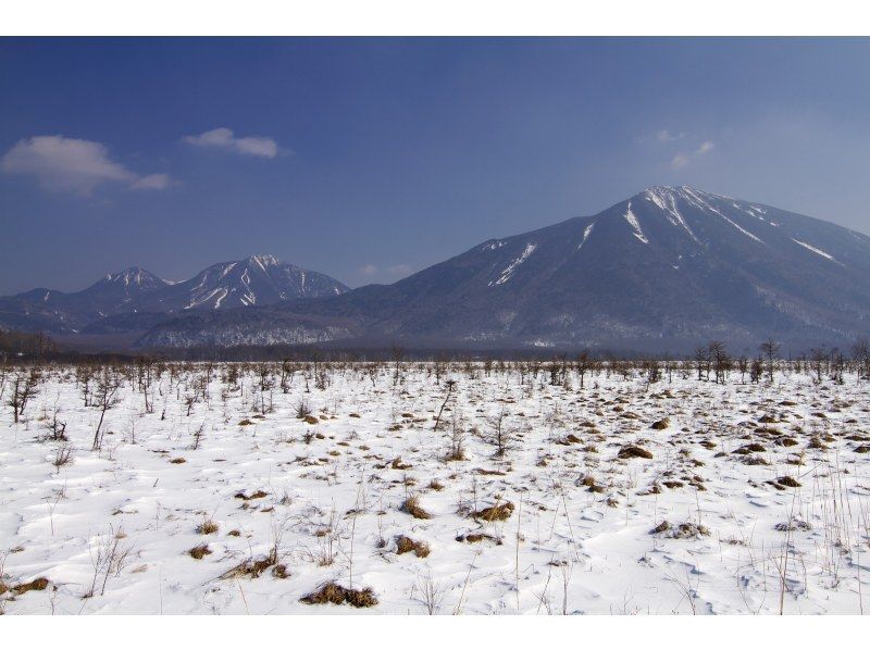 【栃木・奥日光】野鳥の楽園・奥日光でバードウォッチング教室♪【初心者歓迎！季節ごとのいいトコロへご案内！】の紹介画像