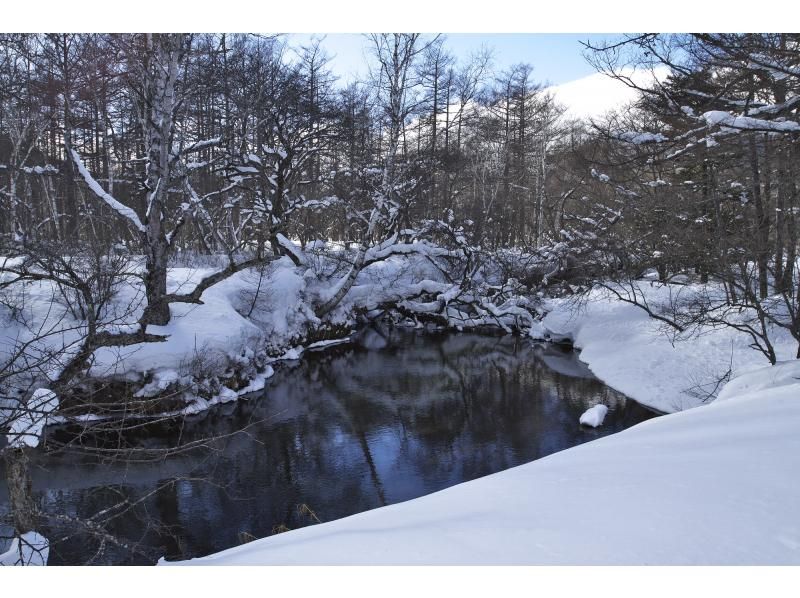 【栃木・奥日光】野鳥の楽園・奥日光でバードウォッチング教室♪【初心者歓迎！季節ごとのいいトコロへご案内！】の紹介画像