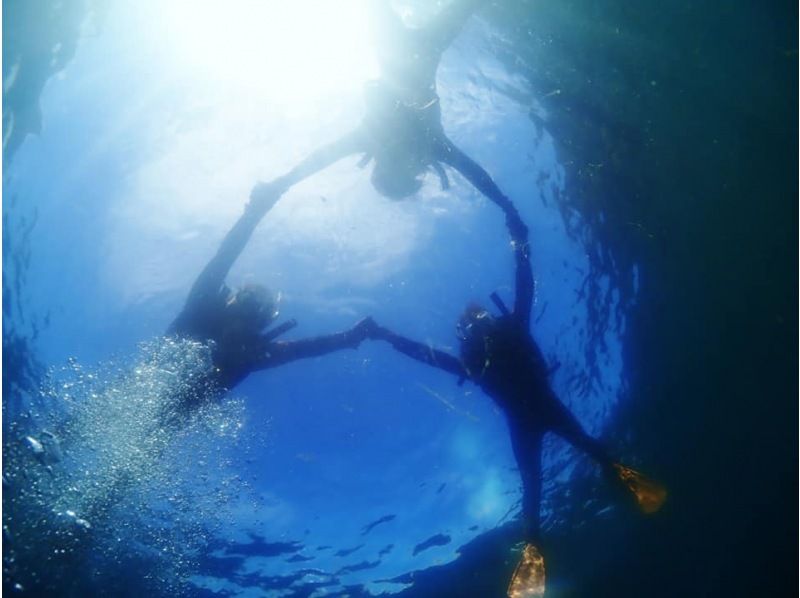 【四国・徳島】熱帯魚の楽園　無人島シュノーケリング☆参加の皆さんの水中写真もプレゼント！初めてでも楽しめる！の紹介画像