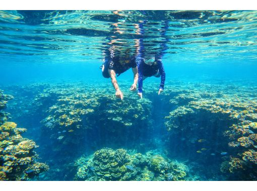 【石垣島/青の洞窟】今だけ特別価格‼️青の洞窟&ウミガメに高確率で出会えるシュノーケル体験✨少人数制!当日OK!4K写真・動画無料!施設完備 【石垣島/青の洞窟】今だけ特別価格‼️青の洞窟&ウミガメに高確率で出会えるシュノーケル体験✨少人数制!当日OK!4K写真・動画無料!施設完備
