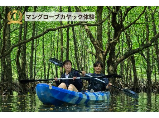 【石垣島】6種類のアクティビティが遊び放題‼️〔シュノーケル・カヌー・SUP・滝遊び等〕半日or1日✨海•山•川の大自然を大冒険‼️写真無料 【石垣島】6種類のアクティビティが遊び放題‼️〔シュノーケル・カヌー・SUP・滝遊び等〕半日or1日✨海•山•川の大自然を大冒険‼️写真無料