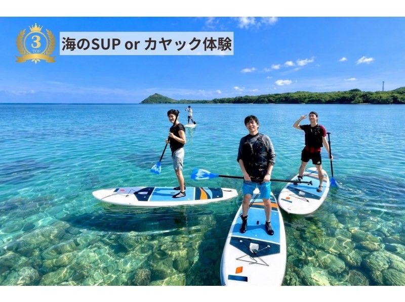 【石垣島】家族にお得✨最大6種類のアクティビティ組み合わせて遊べる‼️〔シュノーケル・カヌー・SUP・滝遊び等〕半日or1日体験！写真無料！の紹介画像