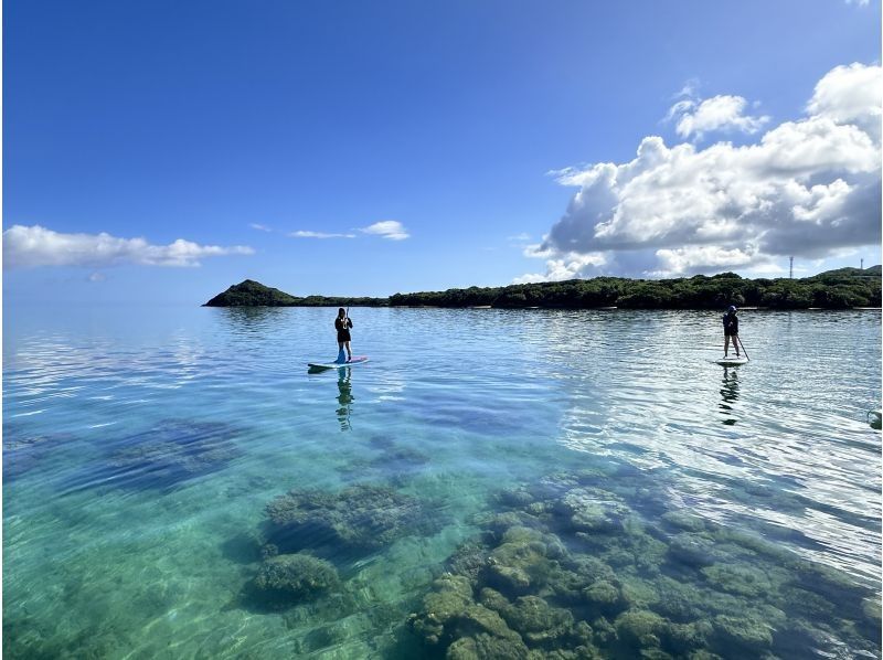 【石垣島・夕方】マングローブ＆茜色に染まるサンセットカヤックor SUPクルージング体験✨シャワー更衣室・お手洗い完備！写真・動画無料！の紹介画像