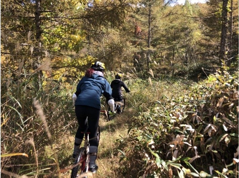 A special plan for a completely private trip! Almost no climbing! Early morning mountain biking experience for families, couples, friends, etc.の紹介画像