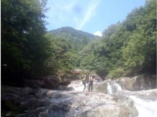 岐阜 郡上 とにかく気持ちがいい沢遊び シャワークライミング キャニオニング 中学生以上対象プラン アクティビティジャパン