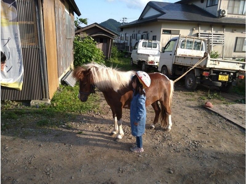 【秋田・大仙】シャインマスカット狩り1房プラン　お子さまと一緒にどうぞ♪の紹介画像