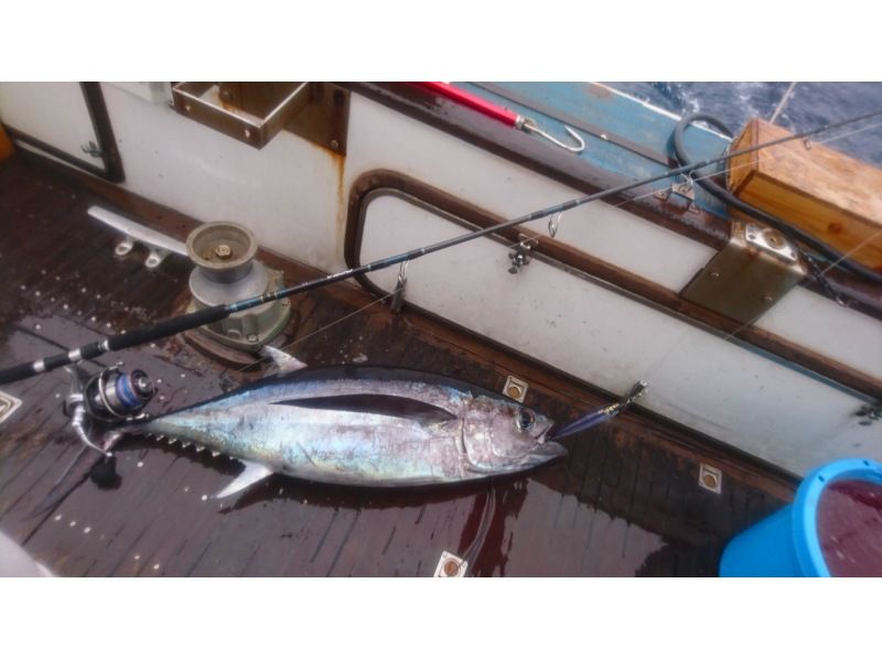 [Wakayama/Susami Town [Jitshare]] Jigging and casting for tuna and bonito! (Times vary! Please contact us!!)の紹介画像
