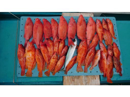 [和歌山/週見町[騎行]]石斑魚，天屋釣魚！瞄準鯛魚和石斑魚！の紹介画像