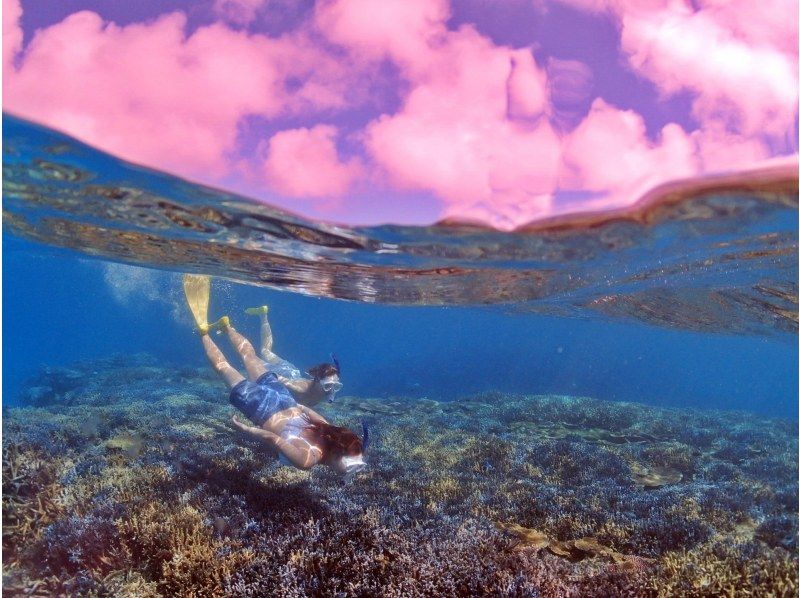 [Ishigaki Island - Half Day] Sekisei Lagoon & Sea Turtle Snorkeling - A dreamlike time swimming with sea turtles with an encounter rate of over 90%!の紹介画像