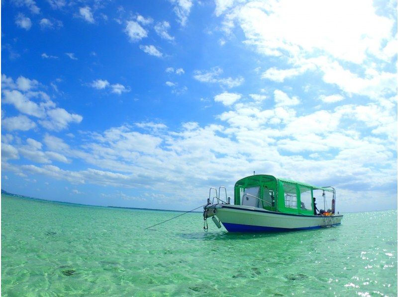 [Ishigaki Island, 3 hours] We will guide you on a boat to go snorkeling with sea turtles! 