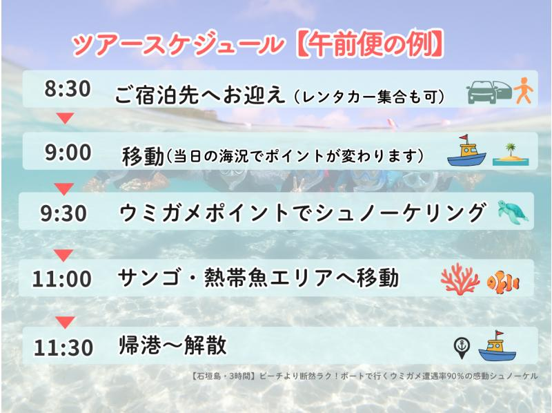 【石垣島・3時間】ビーチより断然ラク！ボートで行くウミガメ遭遇率90％の感動シュノーケル｜器材＆写真無料_s05の紹介画像