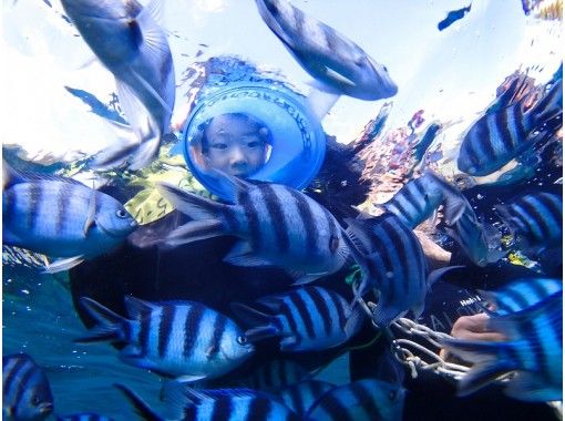 沖縄・恩納村】青の洞窟 ボートシュノーケリング＆美ら海水族館入館券