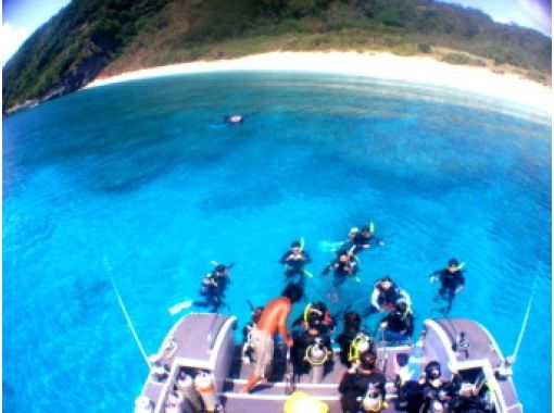 【那覇発⇒慶良間諸島】1日3か所周遊★水中写真動画無料!【保障付】カメ観察体験ダイビング&シュノーケリング+1月~3月はホエールウォッチ付 【那覇発⇒慶良間諸島】1日3か所周遊★水中写真動画無料!【保障付】カメ観察体験ダイビング&シュノーケリング+1月~3月はホエールウォッチ付