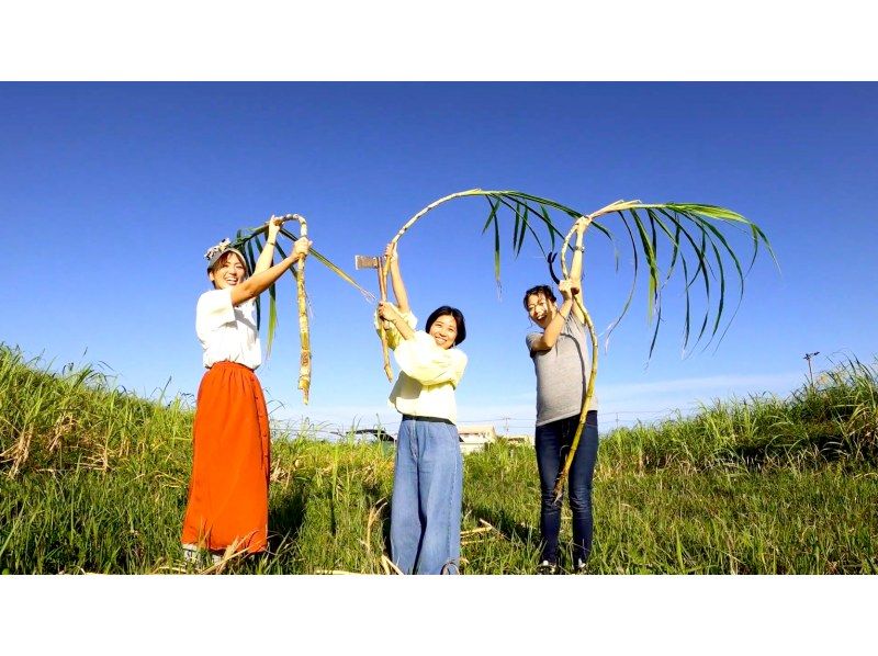[Miyakojima] 90 minutes experience making brown sugar & island banana sweets! Guided by organic sugarcane and island banana farmers! Photo present & souvenir included★Beginners welcome, parents and children welcomeの紹介画像
