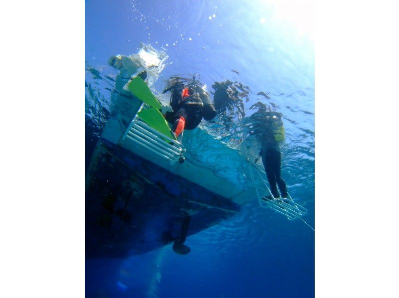 【沖縄・宜野湾】自社ボートで一組限定プライベート体験ダイビング！の紹介画像