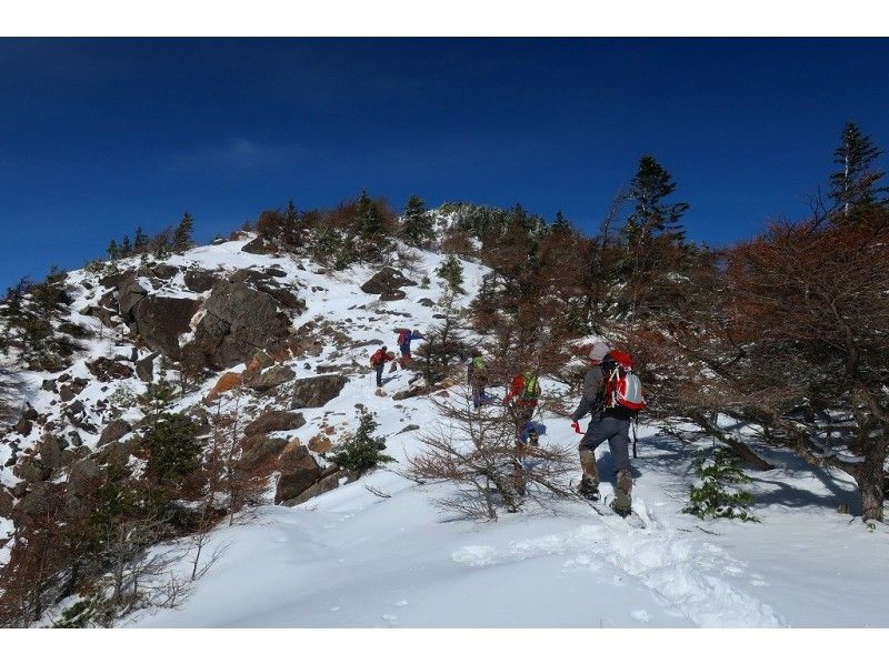 【長野県・高峰高原】　1組限定　浅間山麓スノーシュートレッキングの紹介画像