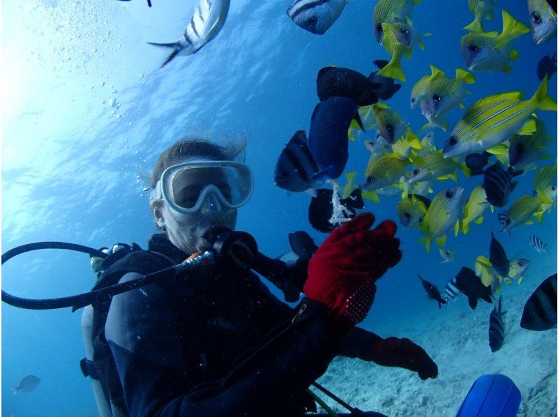 ナチュラルブルーの割引プラン