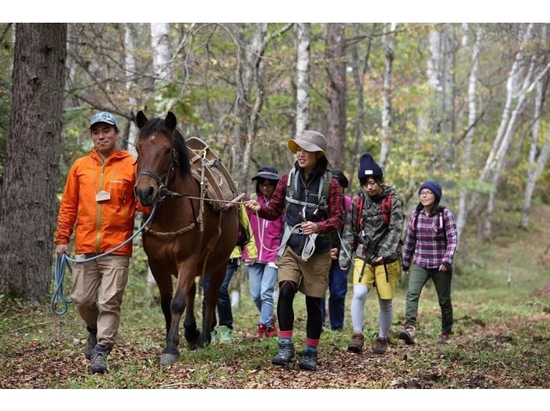 【長野・木曽開田高原】木曽馬ふれあいウォーキングの紹介画像