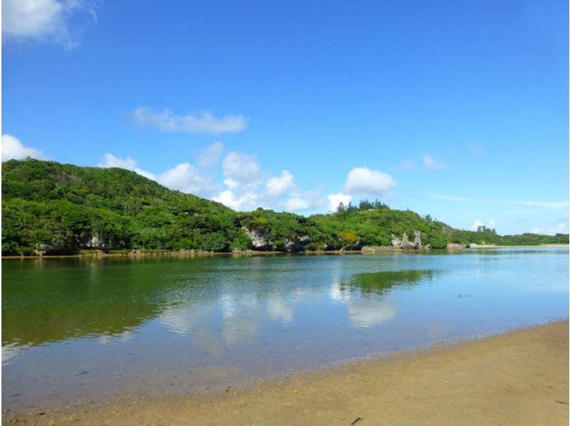 【沖縄・今帰仁】ネイチャーウォッチング マングローブカヤックツアー 低・中水位 2時間　干潮時は干潟でシオマネキやトビハゼを観察！の紹介画像