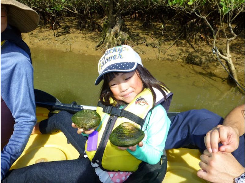 【沖縄・今帰仁】ネイチャーウォッチング マングローブカヤックツアー 低・中水位 2時間　干潮時は干潟でシオマネキやトビハゼを観察！の紹介画像