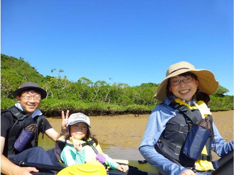 【沖縄・今帰仁】ネイチャーウォッチング マングローブカヤックツアー 低・中水位 2時間　干潮時は干潟でシオマネキやトビハゼを観察！の紹介画像