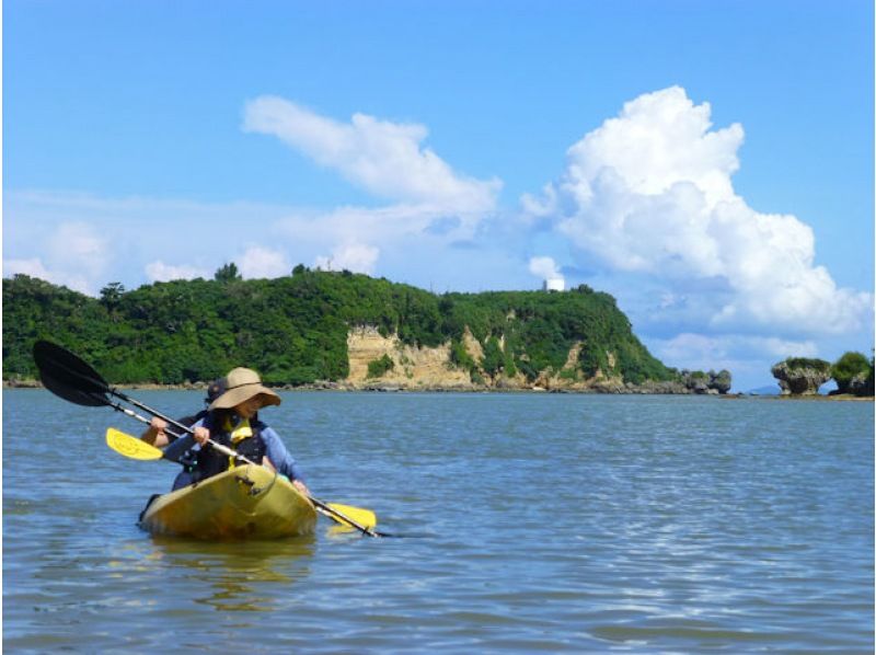 【沖縄・今帰仁】ネイチャーウォッチング マングローブカヤックツアー 2時間　干潮時はシオマネキやトビハゼ観察！ 満潮時は狭い水路に入れるかもの紹介画像
