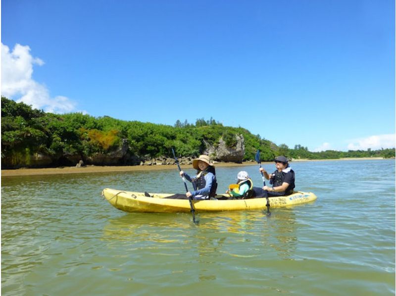 【沖縄・今帰仁】ネイチャーウォッチング マングローブカヤックツアー 低・中水位 2時間　干潮時は干潟でシオマネキやトビハゼを観察！の紹介画像