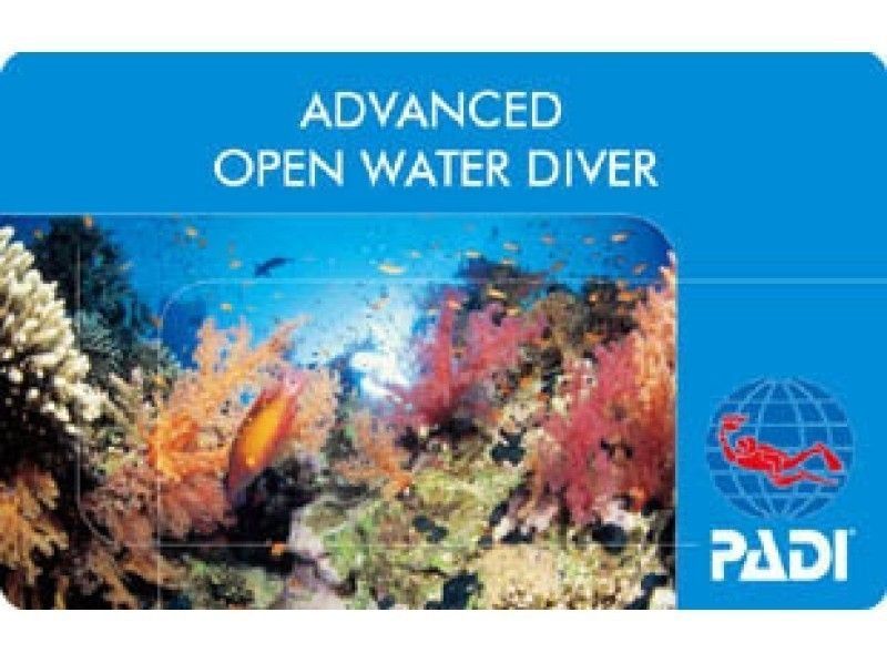 [Okinawa so Obtain Diving Certification! ] PADI Advanced Course *Jan. Whale service in ~ Marchの紹介画像