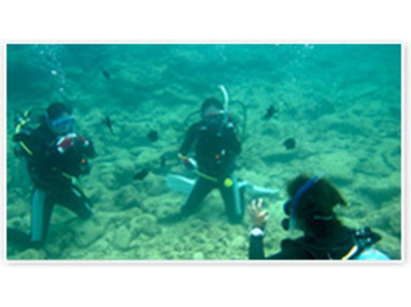 [沖繩宜野灣]潛水執照收購過程PADI開放水域潛水員の紹介画像