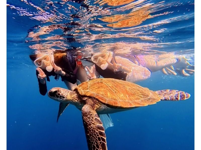 石垣島【お得なセット価格】青の洞窟アドベンチャー探検とウミガメシュノーケル＋絶景サンセットと満天の星空のSUP★写真・器材・保険無料！の紹介画像