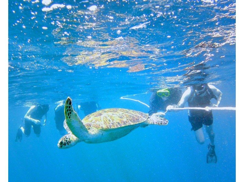 【沖縄・石垣島】青の洞窟とウミガメのシュノーケリング＋夕日と星空のカヤック！【お得なセット】の紹介画像