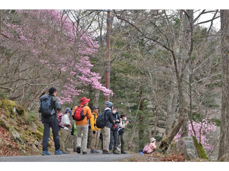 【栃木・奥日光】歴史と自然を感じる旅へ～写仏＆八丁出島ハイキング ～の紹介画像