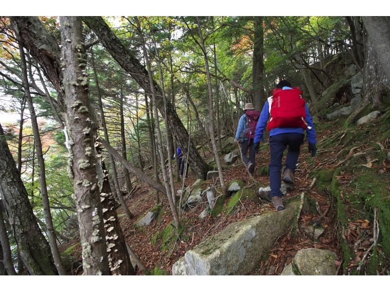 【栃木・奥日光】歴史と自然を感じる旅へ～写仏＆八丁出島ハイキング ～の紹介画像