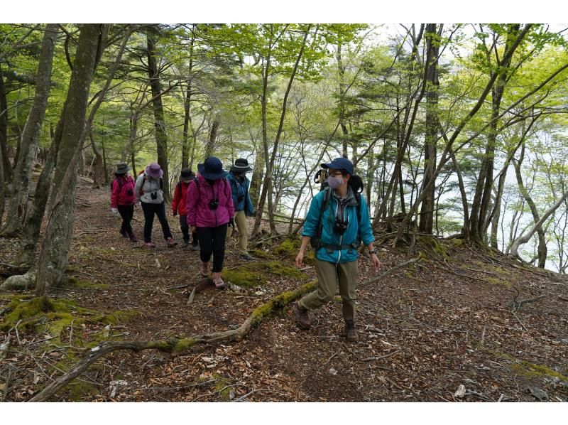 【栃木・奥日光】写仏体験＆八丁出島の先端へハイキング ～季節と歴史・文化の風を感じる旅～の紹介画像