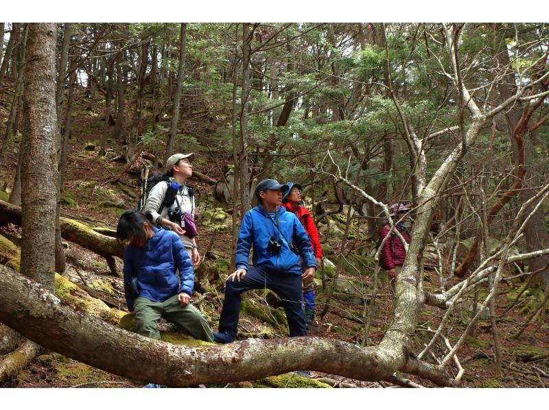 【栃木・奥日光】歴史と自然を感じる旅へ～写仏＆八丁出島ハイキング ～の紹介画像