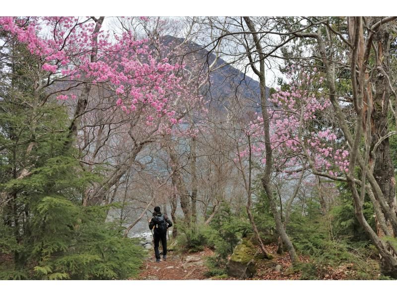 【栃木・奥日光】写仏体験＆八丁出島の先端へハイキング ～季節と歴史・文化の風を感じる旅～の紹介画像