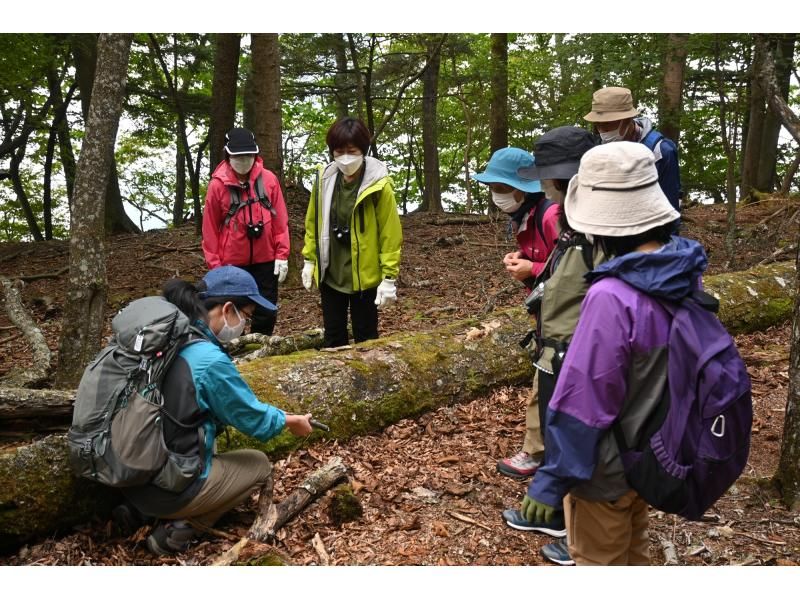 【栃木・奥日光】写仏体験＆八丁出島の先端へハイキング ～季節と歴史・文化の風を感じる旅～の紹介画像