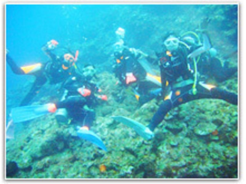 [沖繩宜野灣]潛水執照收購過程PADI進階開放水域潛水員の紹介画像