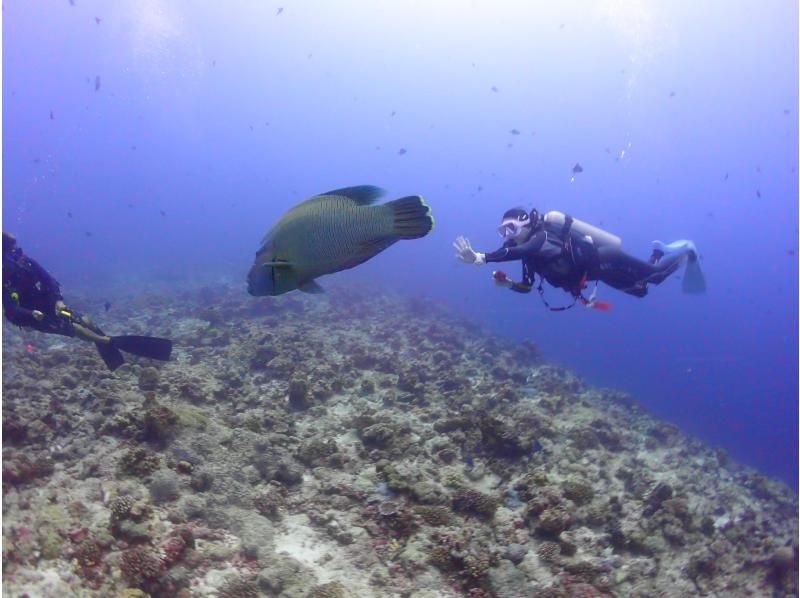 [Tokyo] Overseas: "3-day diving license course" at a Maldives resortの紹介画像
