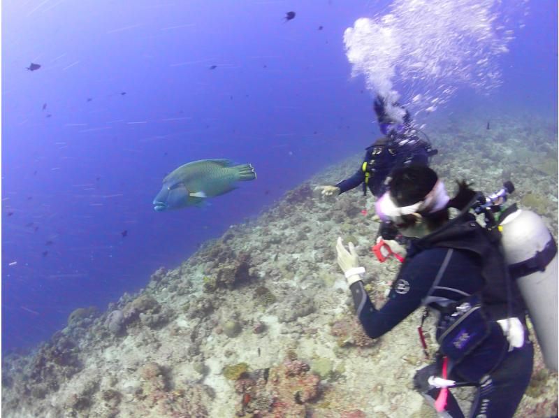 [Tokyo] Overseas: "3-day diving license course" at a Maldives resortの紹介画像