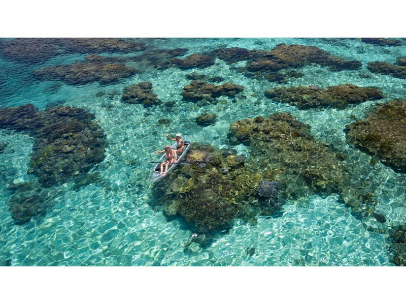 【リアル水族館】大人気‼クリアカヤックツアー★SNS映え間違い無し！ドローン撮影＆高画質写真データをその場で無料プレゼント☆の紹介画像