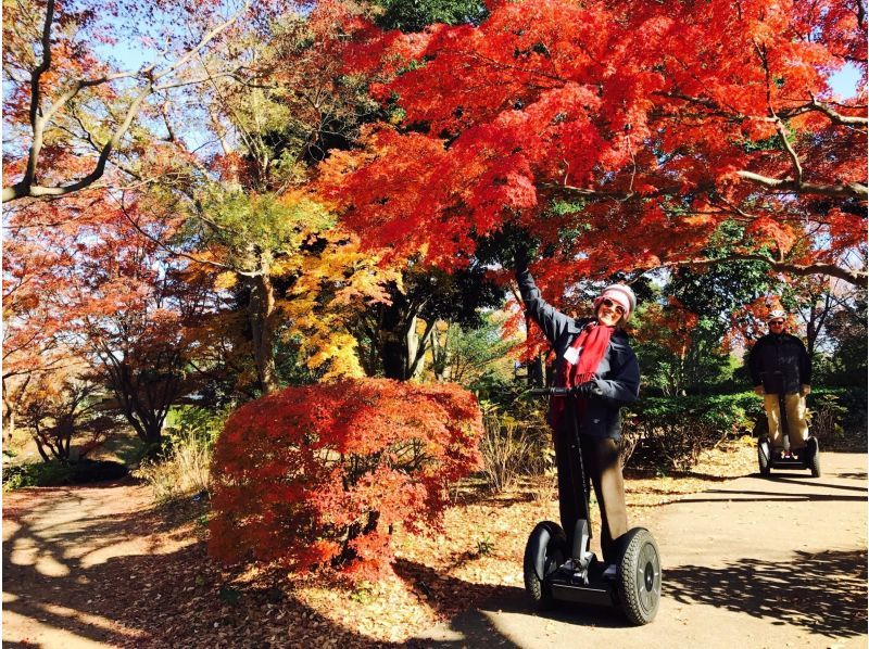 【東京・国営昭和記念公園】秋の見所をセグウェイで楽しもう！ティータイム付き♪【2時間】の紹介画像