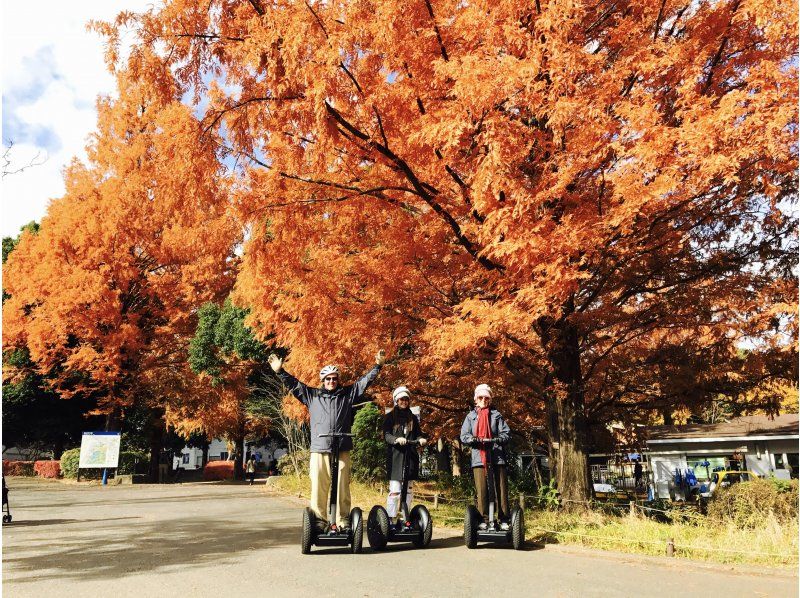 【東京・国営昭和記念公園】秋の見所をセグウェイで楽しもう！ティータイム付き♪【2時間】の紹介画像