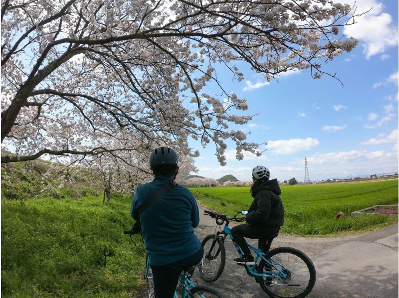 Lake Culture Cycling: Half-Day Tour Near Kyotoの紹介画像