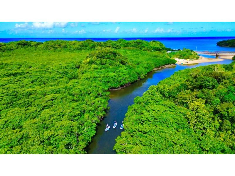 【石垣島・1組貸し切り】絶景の海＆マングローブ&上陸探索♪ 4kドローン撮影と5,4kゴープロ無料撮影付き!! クリアサップorクリアカヌーの紹介画像